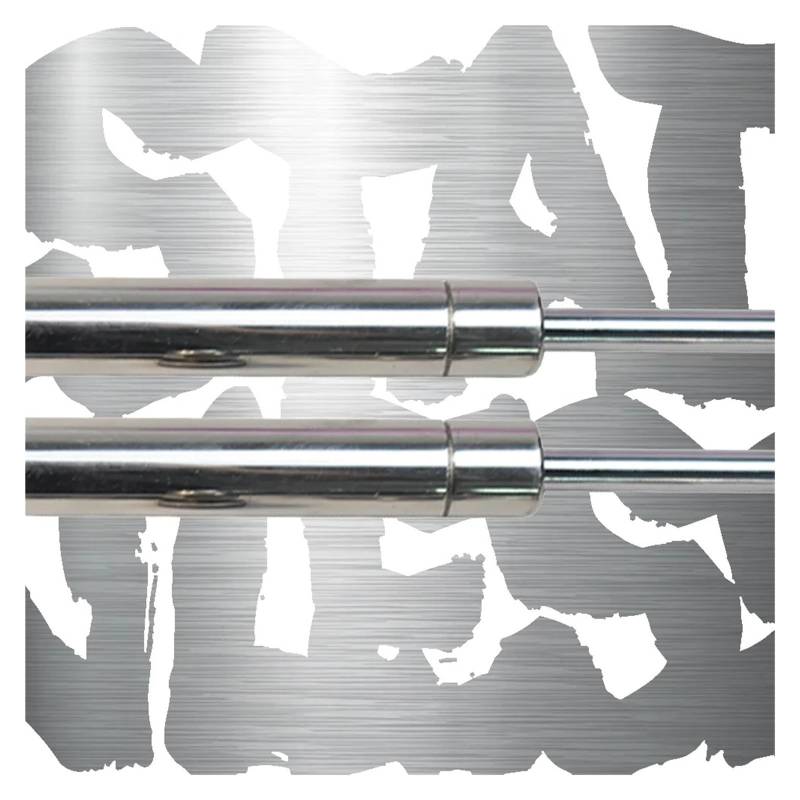 Heckklappe Strut Für Nissan Für Skyline Für Sedan V36 OHNE Spoiler 2006-2014 Hinten Trunk-Boot Gas Aufgeladen Gasdruckfedern Lift Unterstützung Heckklappenstreben(Stainless Steel) von DWTNMEX