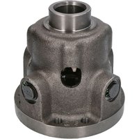 Reparaturset, Differential DANA SPICER 112.04.703.08-DS von Dana Spicer