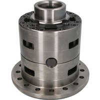 Reparaturset, Differential DANA SPICER 123.04.756.06-DS von Dana Spicer