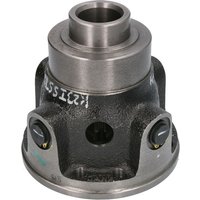 Reparaturset, Differential DANA SPICER 112.04.702.05-DS von Dana Spicer