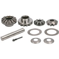 Reparaturset, Differential DANA SPICER 707321X-DS von Dana Spicer