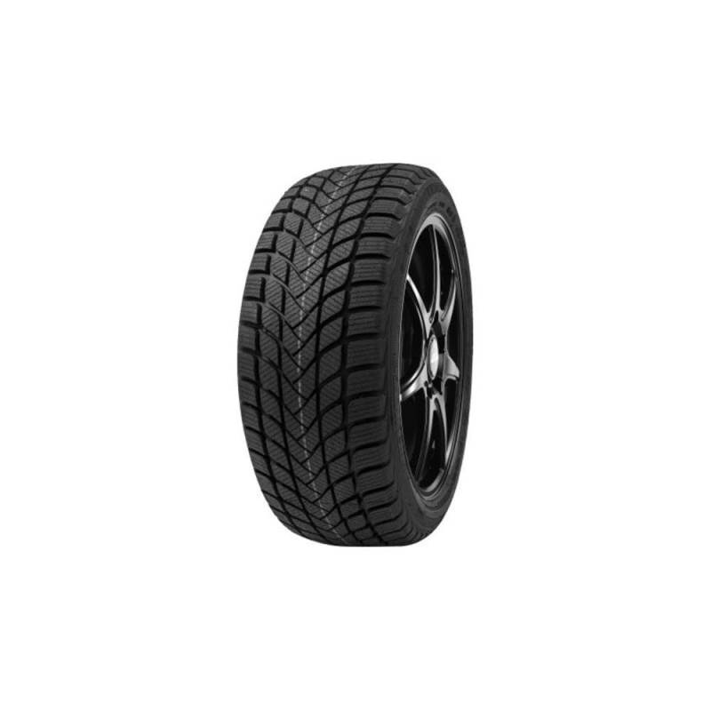 DELINTE Winterreifen 205/50 R 17 XL TL 93H WINTER WD6 BSW M+S 3PMSF von Delinte