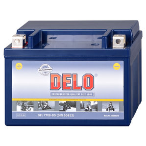 DELO Gel Batterie Delo von Delo