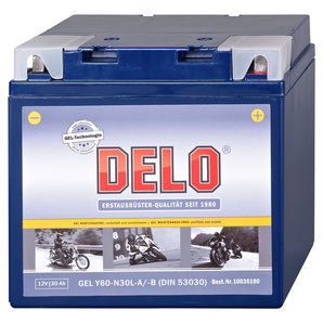 DELO Gel Batterie Delo von Delo