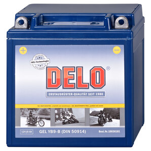 DELO Gel Batterie Delo von Delo