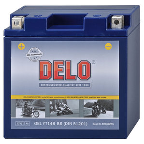 DELO Gel Batterie Delo von Delo