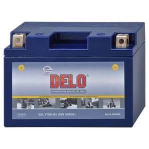 DELO Gel Batterie Delo von Delo