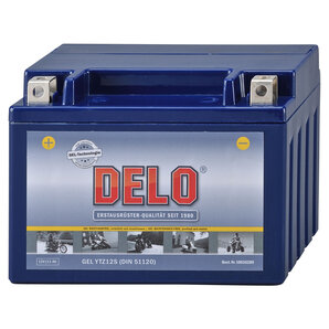 DELO Gel Batterie Delo von Delo