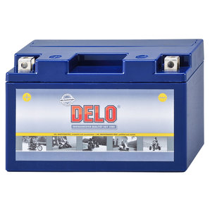 DELO Gel Batterie Delo von Delo