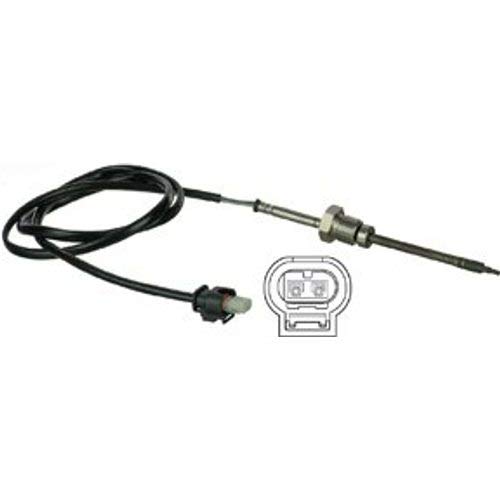 Delphi Sensor Abgastemperatur TS30051 von Delphi