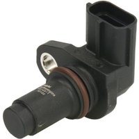 Sensor, Nockenwellenposition DELPHI SS12311-12B1 von Delphi