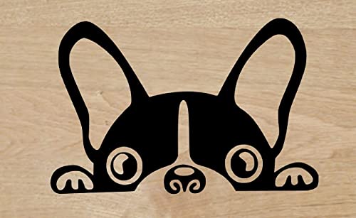 Desconocido Vinyl-Aufkleber, Silhouette, Bulldogge, Frenchy, 13 x 8,5 cm, Schwarz von Desconocido