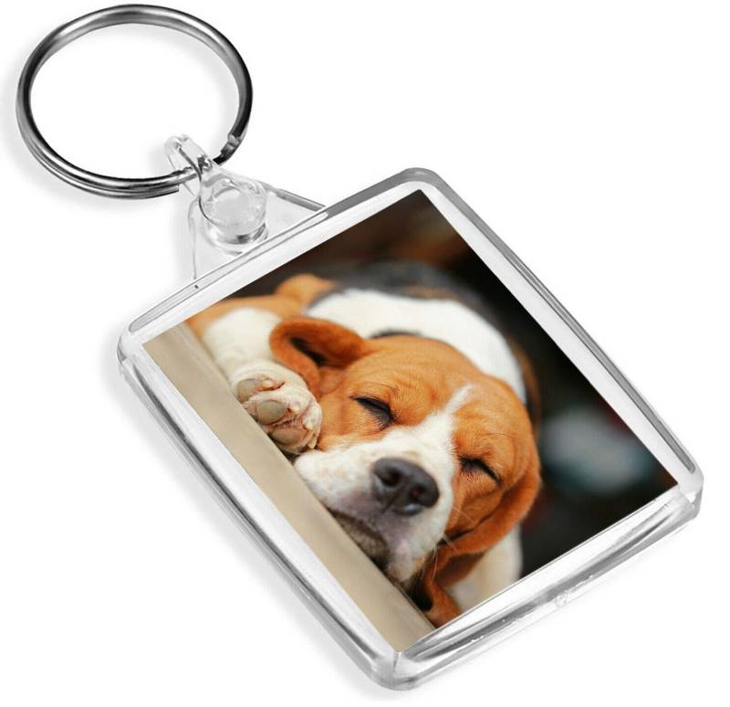 Destination Vinyl Keyrings Entzückender Schlafender Beagle-Schlüsselanhänger – IP02 – Hund Welpe Wound Tier 15506 von Destination Vinyl Keyrings