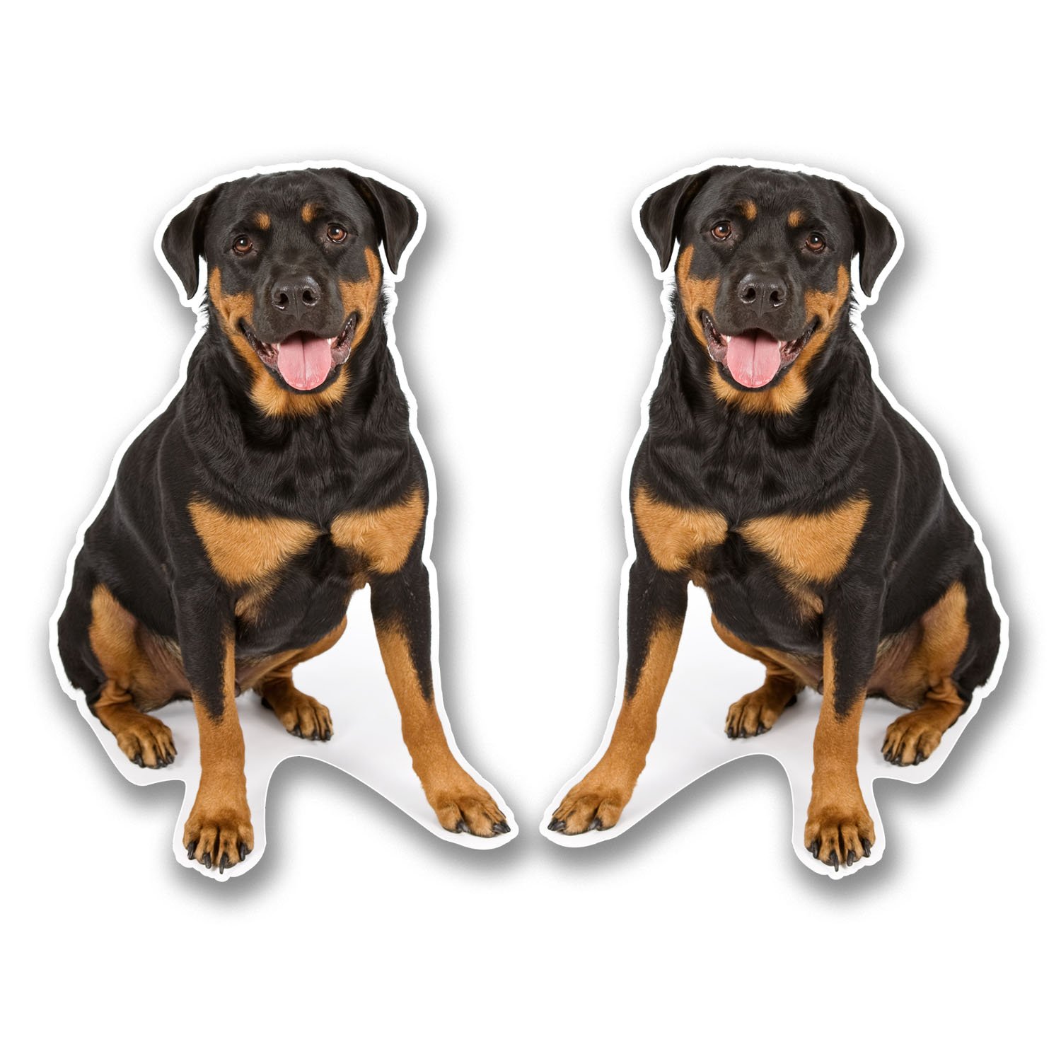 2 x 10 cm Rottweiler Rottie Vinyl-Aufkleber, Aufkleber für Laptop, Tablet, Auto, Hund Geschenk #6296 (6,5 cm breit x 10 cm hoch) von DestinationVinyl