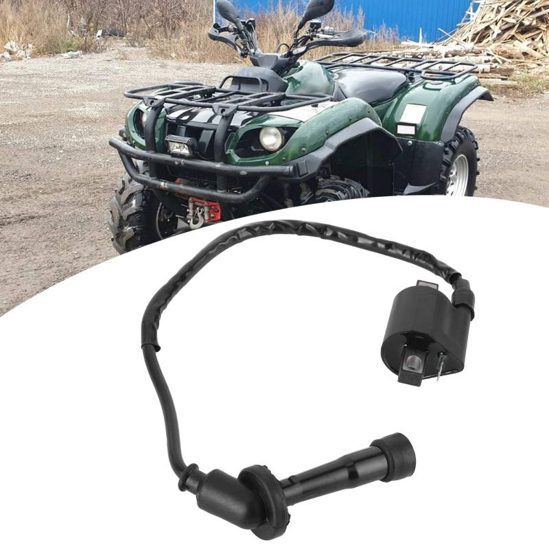 660 Zündspule，Dioche Zündspule Ersatz Fit für Grizzly 660 YFM660 2002 2003 2004 2005 2006 2007 2008 ATV Teile von Dioche