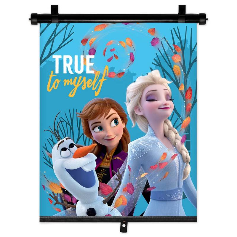 Seitenscheiben Sonnenschutz Rollo 36x45cm Frozen - 9343 von Disney Frozen