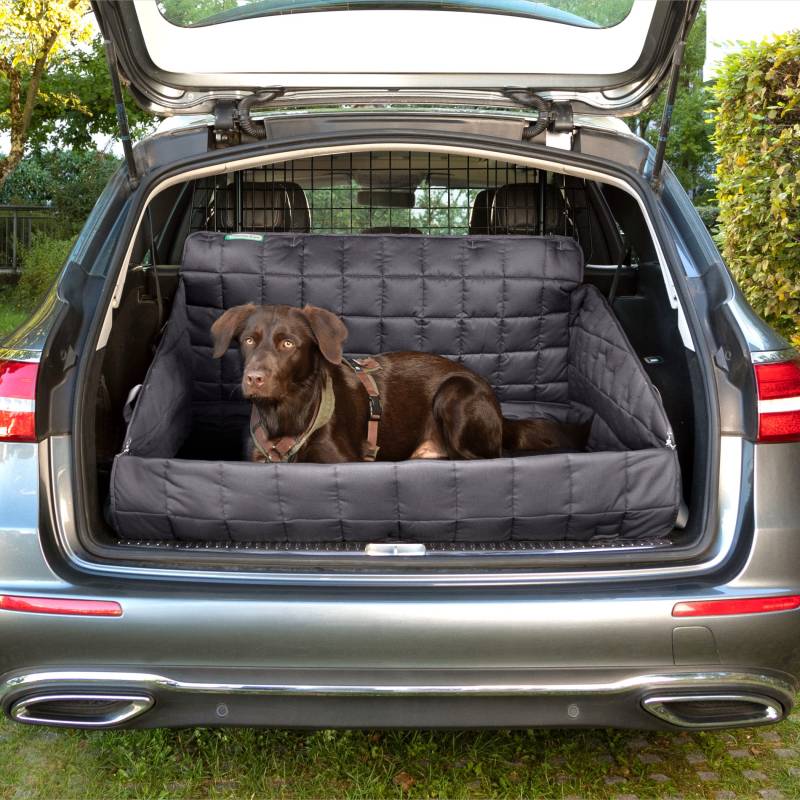 Doctor Bark universeller Kofferraumschutz für Hunde mit Ladekantenschutz, waschbar & geruchsfrei, komfortabler All-Side Schutz für SUV, Kombi und Van (Gr. M - 90x90 cm/Grau) von Doctor Bark