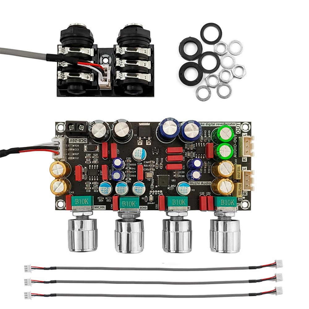 DollaTek Digitale Mikrofonverstärkerplatine Karaoke-Platte Vorverstärker Reverberator Suite Komponente Mikrofonverstärkerplatine AMP von DollaTek