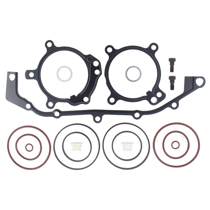 Doo Engy Doppel Vanos Reparatursatz Dichtungen Doppelvanos O-Ring Reparatur Satz Vanos Dichtsatz Dichtung für 3er E46 5er E39 E60 E61 7er E38 E65 E66 E67 Z3 E36 Z4 E85 X3 E83 X5 E53 von Doo Engy