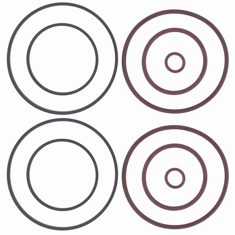 Doo Engy Doppelvanos Dichtungen Doppeldichtungen Rasselring Doppel Vanos Dichtsatz Reparatursatz O-Ring Dichtring für M52TU M54 M56 3er E46 5er E60 E61 E39 7er E38 E65 E66 Z3 E36 Z4 E85 X3 E83 X5 E53 von Doo Engy