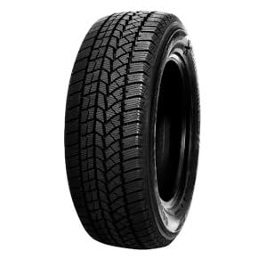 DOUBLESTAR Winterreifen 205/65 R 15 TL 94T WINTERKING DW02 BSW M+S 3PMSF von Doublestar