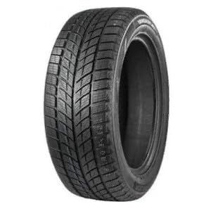 DOUBLESTAR Winterreifen 275/45 R 20 XL TL 110H WINTERKING DW09 BSW M+S 3PMSF von Doublestar