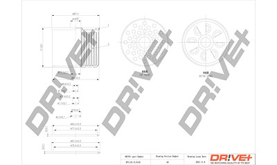 Dr!ve+ Kraftstofffilter [Hersteller-Nr. DP1110.13.0132] für Alfa Romeo, Audi, Citroën, Fiat, Ford, Gaz, Lada, Land Rover, Mahindra, Opel, Peugeot, Ren von Dr!ve+