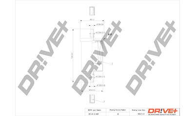 Dr!ve+ Kraftstofffilter [Hersteller-Nr. DP1110.13.0207] für Ford von Dr!ve+