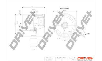 Dr!ve+ Kraftstofffilter [Hersteller-Nr. DP1110.13.0266] für Land Rover von Dr!ve+
