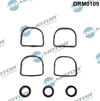 Dichtungssatz, Ansaugkrümmer Dr.Motor Automotive DRM0109 von Dr.Motor Automotive