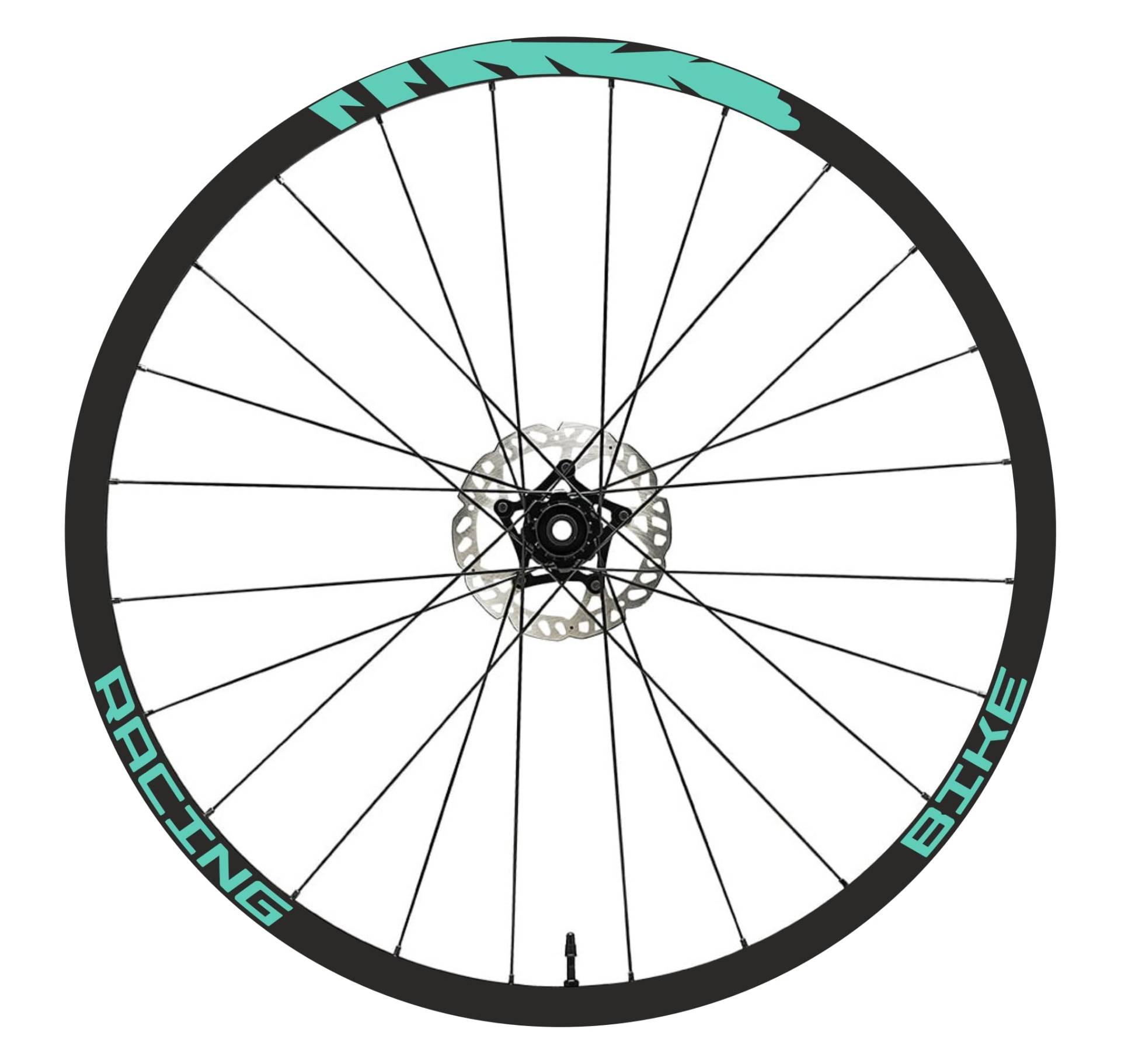 DualColorStampe Felgenaufkleber für Fahrrad, 26 Zoll – 27,5 Zoll – 28 – 29 Zoll (26 – 29 Zoll), Felgen MTB B0198 (Mint 55, 28-29 Zoll) von DualColorStampe