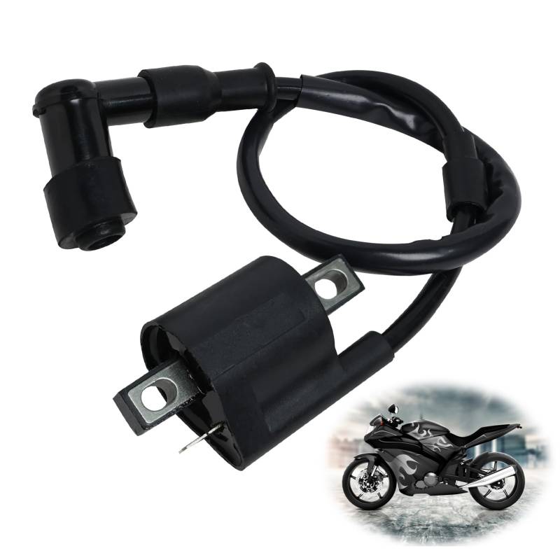 Motorrad Zündspule Motor Zündspule Zündspule Roller ATV Zündspule Ersatz Racing Zündspule Power Enhance Modified Ignition Coil Scooter Zündspule für 150CC 200CC 250CC ATV Scooter Moped Go-Kart von Duluok