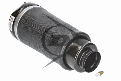 Dunlop Airsuspension Luftfederbein [Hersteller-Nr. 71224] für Mercedes-Benz von Dunlop Airsuspension