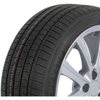 Ganzjahresreifen DUNLOP Sport All Season 165/65R14 79T von Dunlop