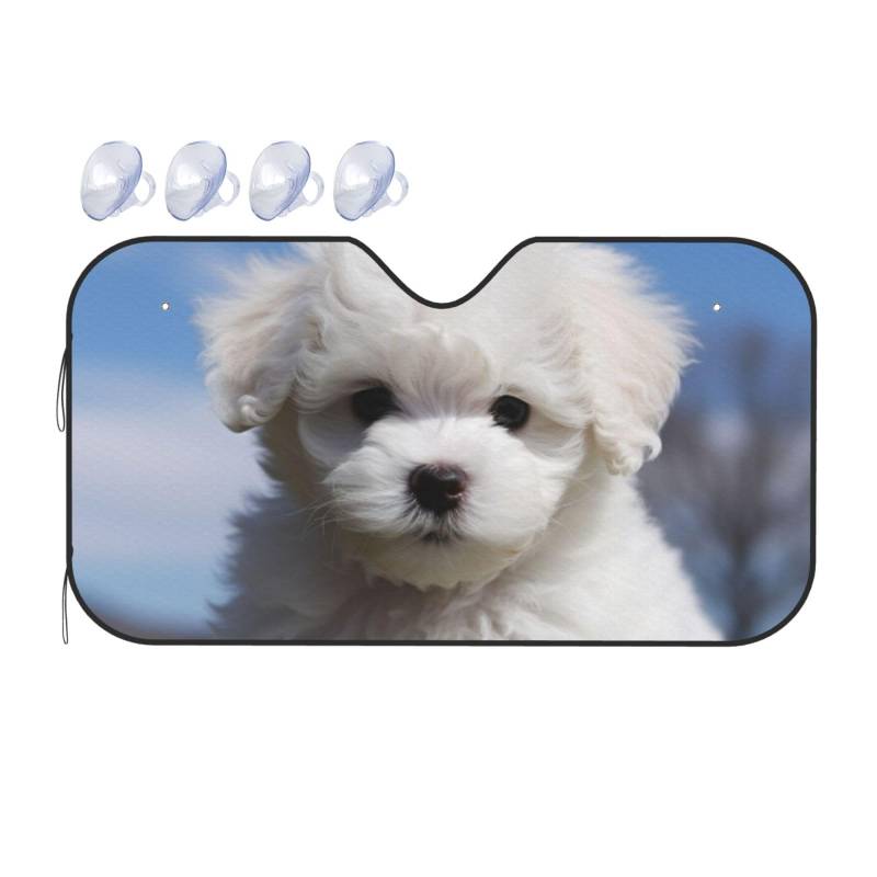 Auto Windschutzscheibe Sonnenschutz Bichon Frisé Hund Auto Frontscheibe Sonnenschutz Upgrade Faltbare Auto Sonnenblende Schutz Blöcke Universal Fit SUV LKW Innenraum Zubehör Medium von Dwrepo