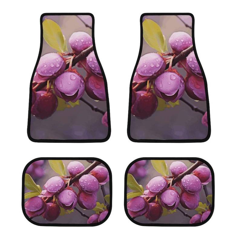 Blooming Plum Auto Fußmatten rutschfeste Automatten Set von 4 Stück Wasserdicht Universal Auto Vorne Hinten Fußmatten Auto Fußmatten Auto Fußpolster für SUV Vans LKW Auto Zubehör Dekor von Dwrepo