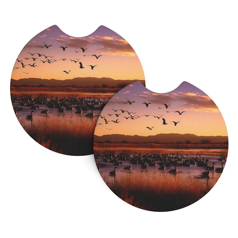 Bosque del Apache Wildlife Refuge Print Auto Getränkehalter Untersetzer 2 Pack Rutschfester Einsatz Auto Untersetzer mit einer Fingerkerbe Gummi Cup Mat Drink Pad Auto Innenraum Zubehör für die von Dwrepo