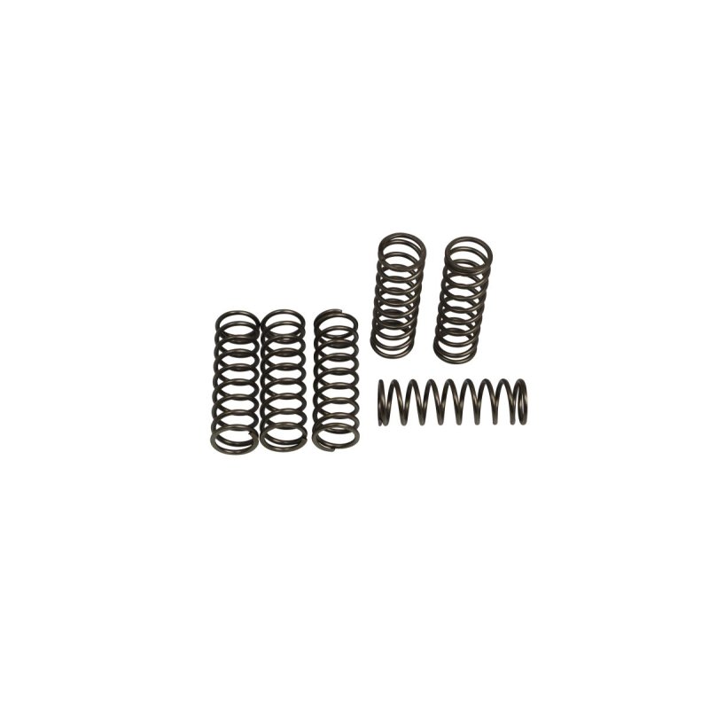 Clutch Spring Kit (6 Pcs) von EBC