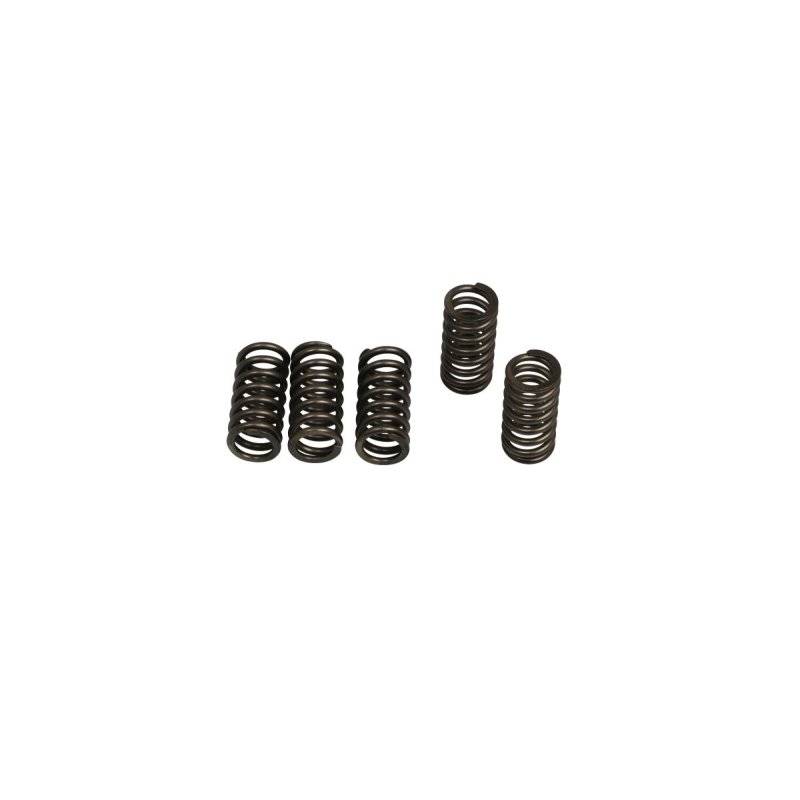 Clutch Spring Kit (6 Pcs) von EBC