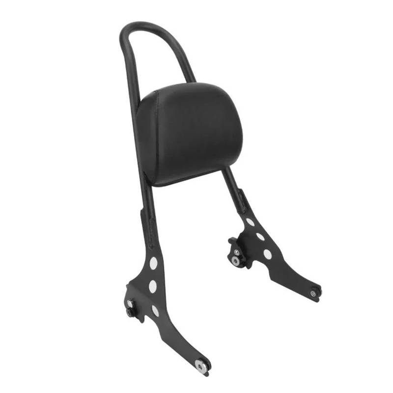 Für Harley Für Sportster XL 883 1200 2004-2023 Motorradzubehör Abnehmbares Kissenpolster Die Rückenlehne Der Sissy Bar Den Beifahrer Hinten Motorrad-Beifahrerhaltegriff(Schwarz) von ECKBRJA