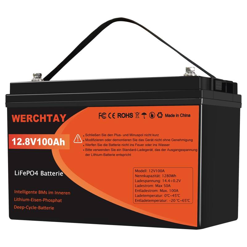 LiFePO4 100Ah Batterie 12V Lithium Temperature Schutz und 4000-15000 Zyklen, 1280Wh Batterie Eisen Phosphat Eingebaut für Solar System, Marine, Rv Deep Cycle Power Station Energiespeicher (100AH) von ECO-Baeerss