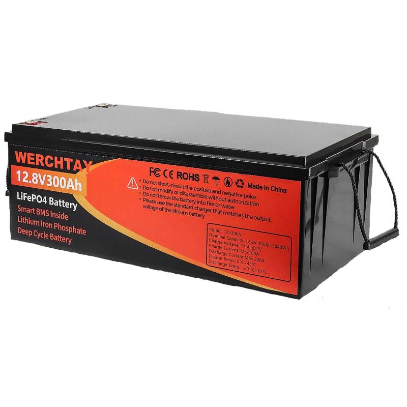 LiFePO4 Batterie 12V 100Ah Lithium Batterie Eisen Phosphat Batterie Eingebaut für Solar System, Marine Batterie Rv Deep Cycle Batterie Power Station Energiespeicher (300ah) von ECO-Baeerss