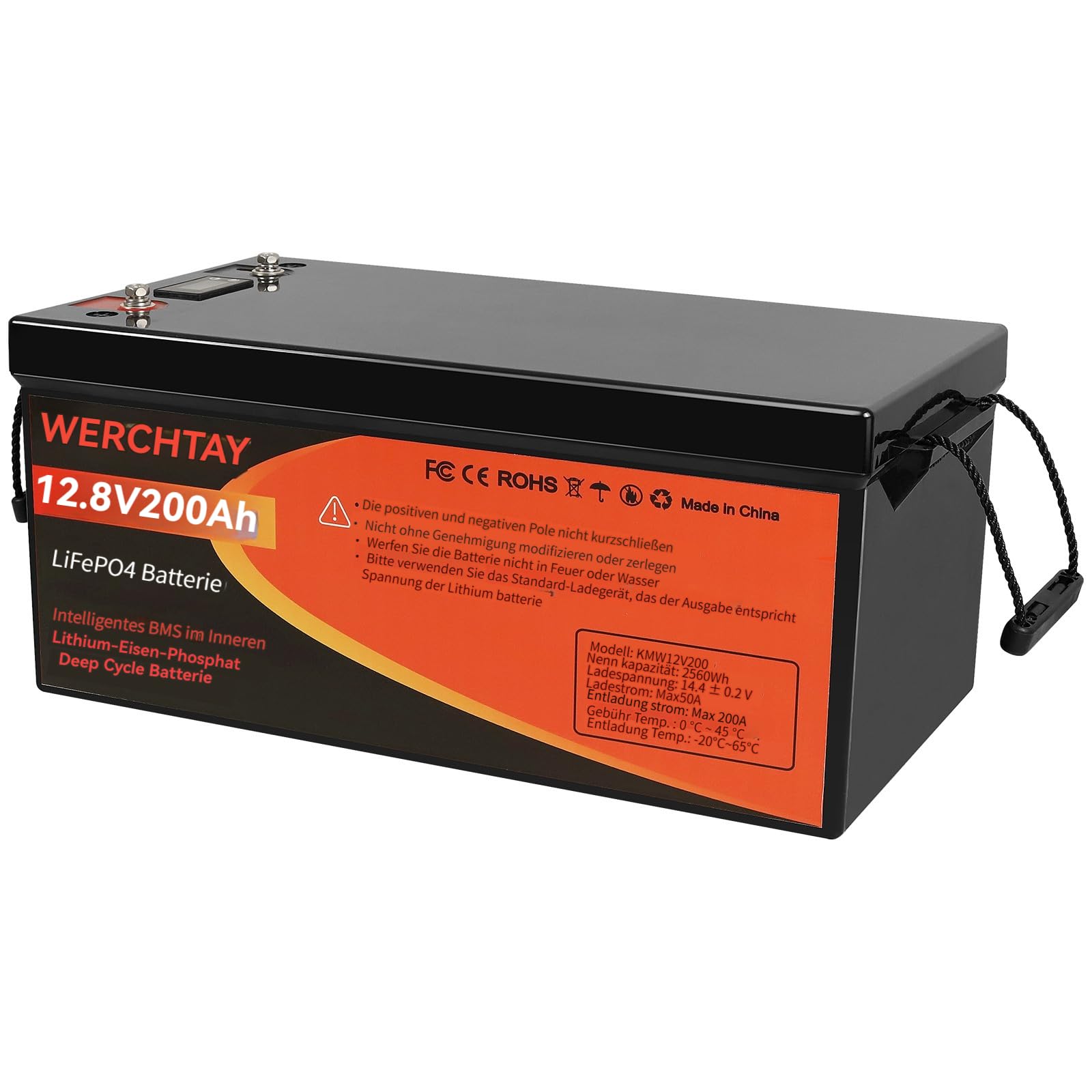 LiFePO4 Batterie 200Ah 12V Lithium 5120Wh 4000-15000 Zyklen für Solaranlagen, Marinebatterien, RV-Batterien, Kraftwerke, Energiespeicher für netzunabhängige Anwendungen (200) von ECO-Baeerss