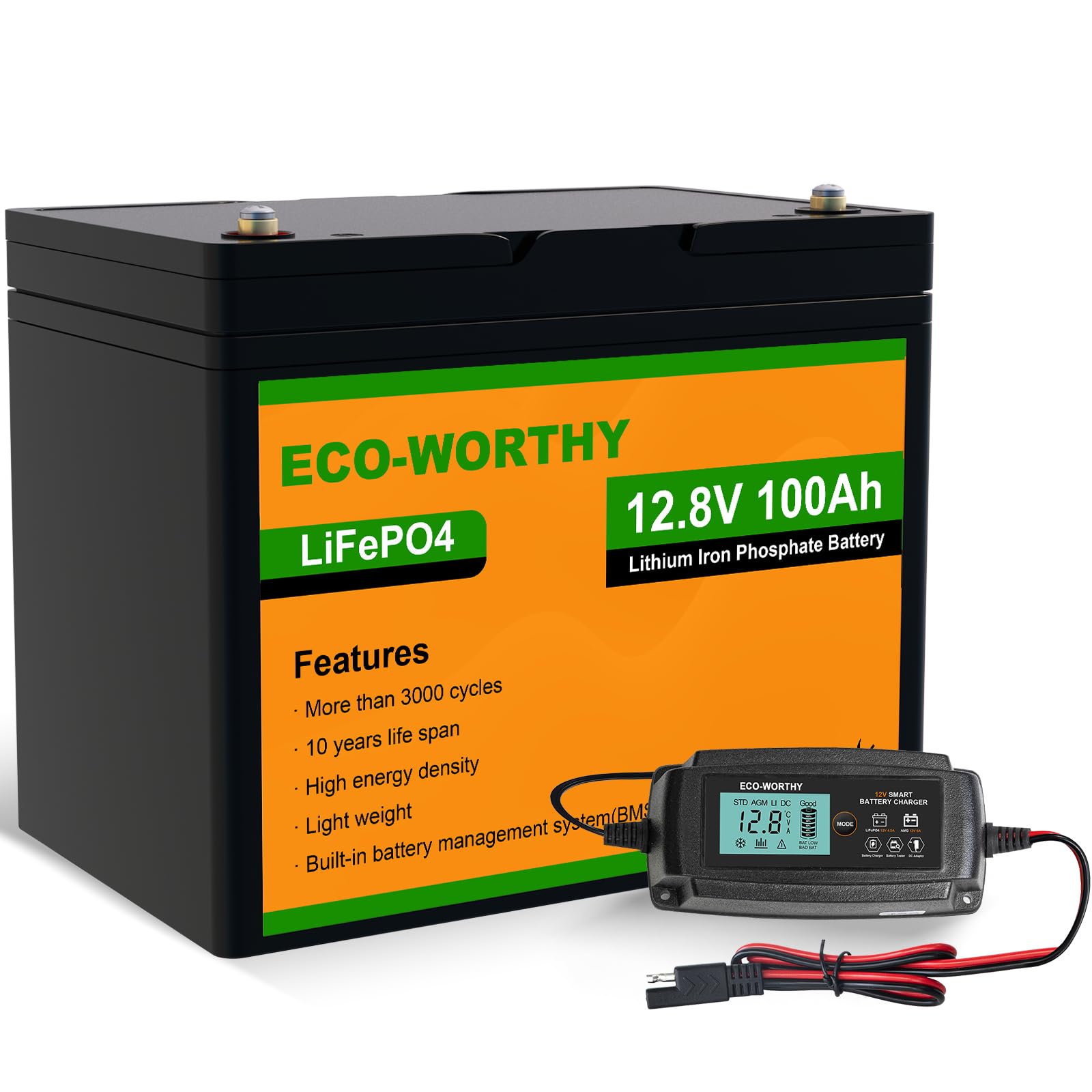 ECO-WORTHY 12.8V 100Ah LiFePO4 Akku mit 5A Ladegeräte,LiFePO4 100AH mit BMS Low Temperature Schutz und 3000 Mal Tiefzyklen für Solaranlage, Wohnmobil,Boot,Haushalt, Solarpanel,Camping von ECO-WORTHY