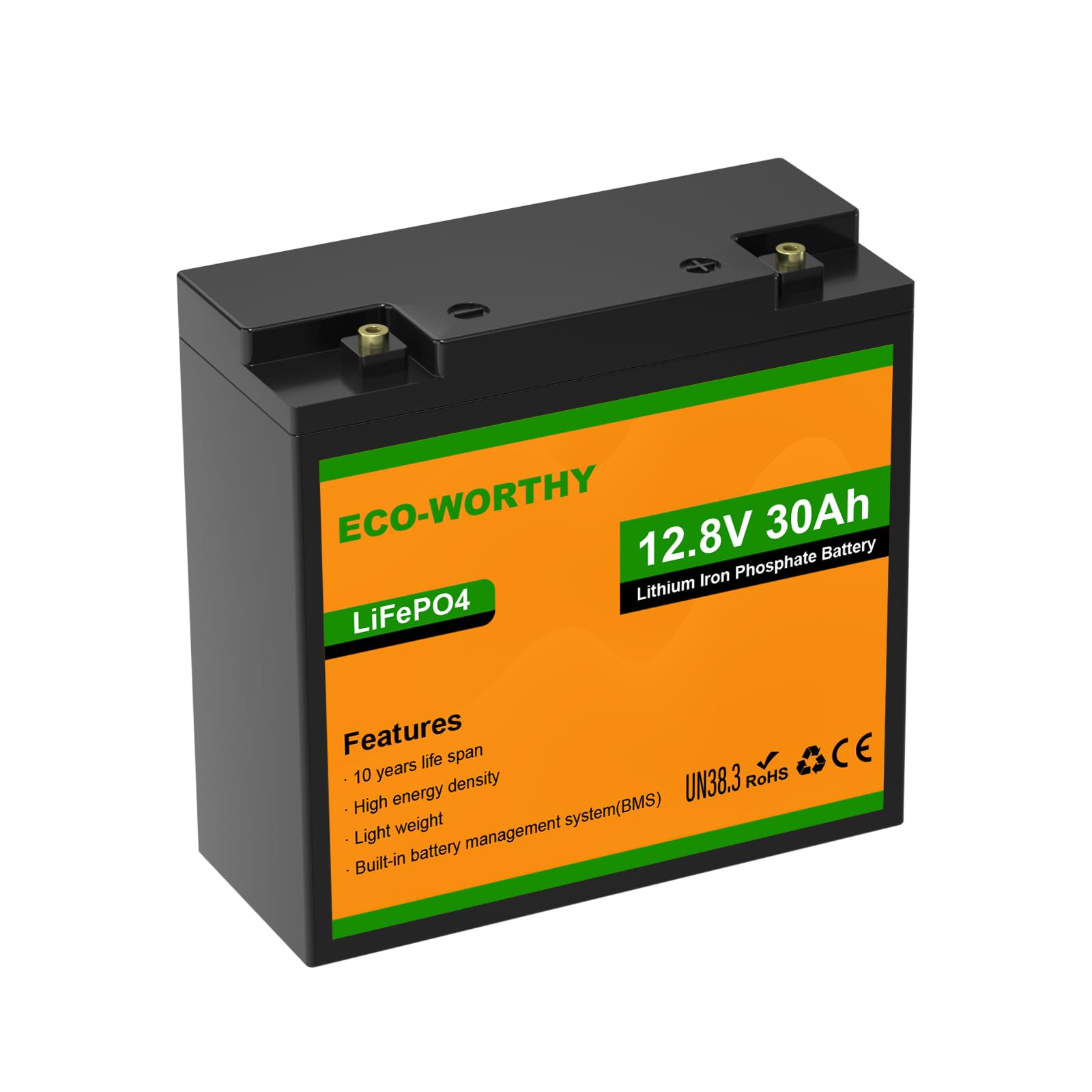 ECO-WORTHY LiFePO4 Batterie 12V 30Ah mit BMS Schutz und Max. 15000 Zyklen,384Wh Lithium Camping Batterie 12V 30Ah für Wohnmobile,Trolling-Motor,Boot von ECO-WORTHY