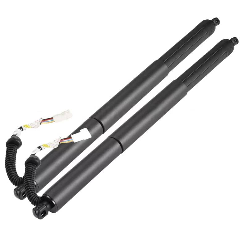 EDPOAQC Kompatibel Mit BMW Für F48 X1 2014 2015 2016 2017 2018 2019 Heckklappen-Powerlift-Stützstrebe OEM: 51247365979 Autoteile Plug and Play(Left and Right) von EDPOAQC