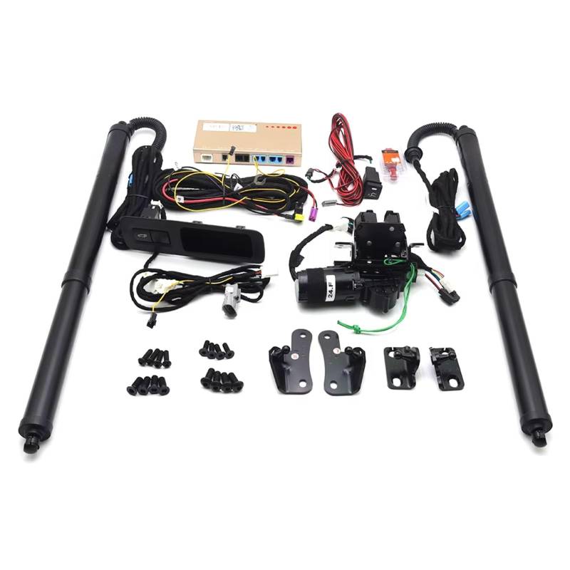 EDPOAQC Kompatibel Mit Ford Für S-Max CD539 2015 2016 2017 2018 2019 2020 2021 2022 2023 Elektrische Saug Intelligente Heckklappe Hubstrebe(No Foot Sensor) von EDPOAQC