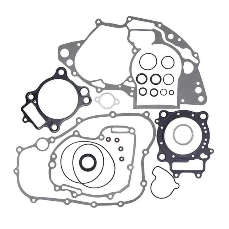 Kompatibel mit 250R 2004–2009 250X 2004–2017 250 R X Modellen, kompletter Motorzylinderdichtungssatz von EGRMZ