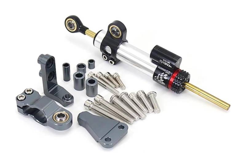 Lenkungsdämpfer Motorrad Für A&prilia RS660 RS 600 2021-2023 Lenkung Stabilisieren Montage Halterung Kit Motorrad Lenkung Dämpfer Stabilisator(X-18) von EIDASH