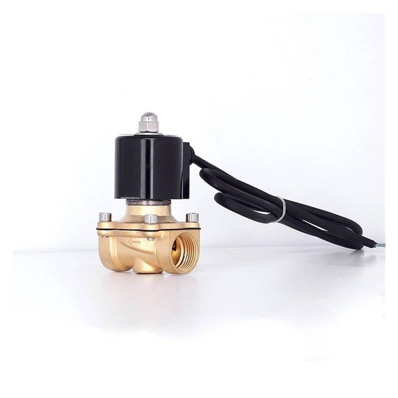 1" Brass Underwater Solenoid Valve Water Valve Solenoid 220VAC 24VDC 12VDC 24VAC 110VAC Fountain Solenoid Valve EKFBQBGW(BSP_110VAC) von EKFBQBGW